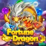 Furtune Dragon  Funky Games